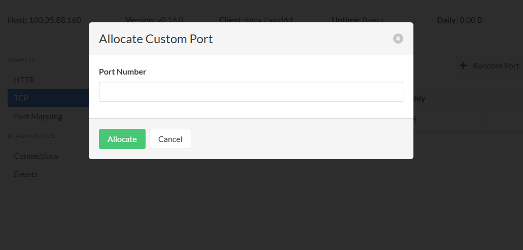 Allocate custom port allocation dialog